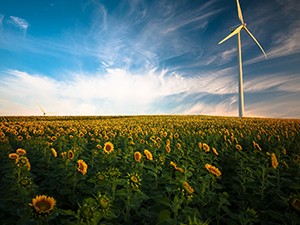 STUDIE: Obnovitelná energie už je hlavním zdrojem elektřiny v EU