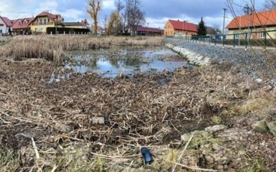 Chrudim: revitalizace rybníka dnes začala