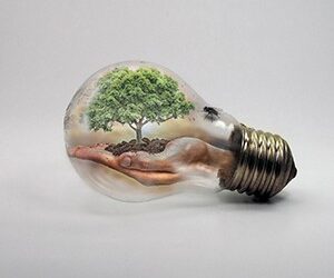 Jak řeší klimatickou krizi místní komunity ve Spojeném království