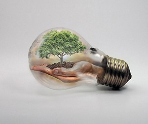 Jak řeší klimatickou krizi místní komunity ve Spojeném království