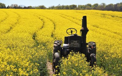 Pesticidy zůstávají ve vodě i potravinách, problémem je nevhodné pěstování řepky nebo kukuřice