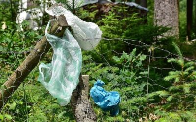 Ochranáři vyzvali lidi k úklidu přírody při procházkách