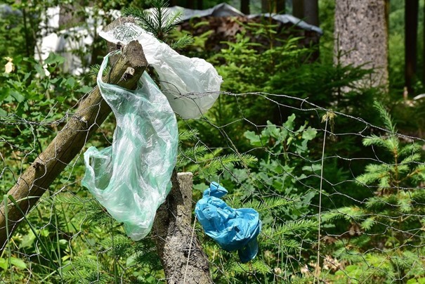 Ochranáři vyzvali lidi k úklidu přírody při procházkách
