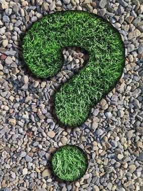 Jaký vliv má změna klimatu na většinu savců?
