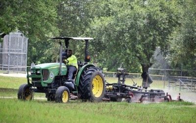 Údržba zeleně stojí Plzeň ročně kolem 60 milionů korun, město pečuje o 26 parků