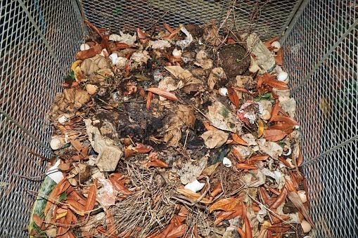 V Pardubicích roste počet domácností z rodinných domů, které třídí bioodpad