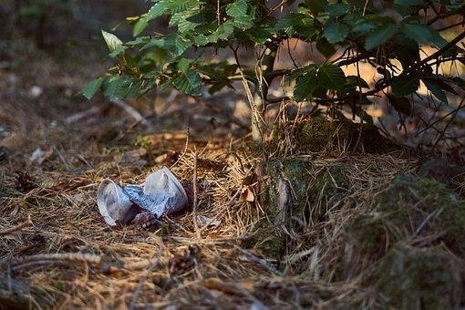 Do kampaně proti odpadkům se zapojí všechny národní parky v České republice