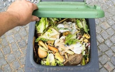 Heřmanův Městec chce slevami motivovat obyvatel k vyššímu třídění odpadů