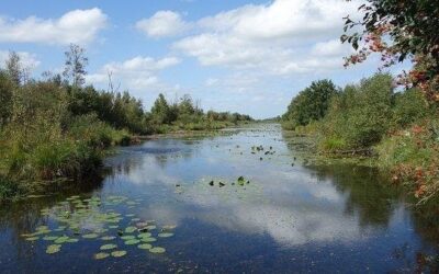 Zlínský kraj přispěje přes 729 000 korun na údržbu zvláště chráněných území