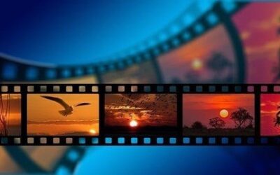 Uspět na festivalu Ekofilm chce přes 200 dokumentů o životním prostředí