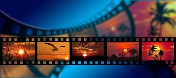 Uspět na festivalu Ekofilm chce přes 200 dokumentů o životním prostředí