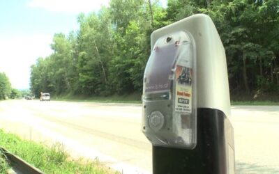 Jihočeský kraj chce zabránit nehodám se zvěří zvukovými plašiči, Moravskoslezský kraj využívají „pachové ohradníky“