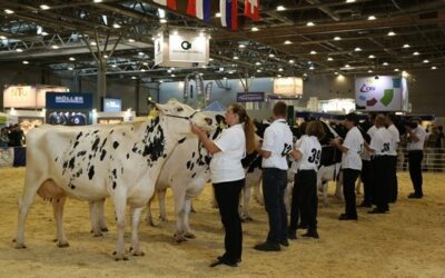 Veletrh Animal Tech a výstavu hospodářských zvířat navštívilo 20.000 lidí