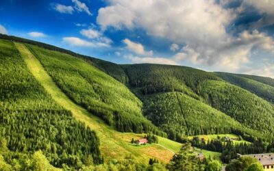 Zahrada KRNAP zachraňující ohrožené druhy je nově členem Unie botanických zahrad