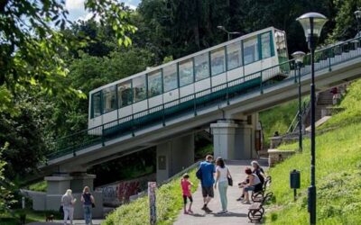Brno chce v zoo vybudovat kolejovou pozemní lanovku za 85 milionů