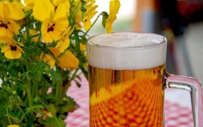 Vědci vaří pivo ze ztvrdlého neprodaného chleba, chtějí omezit plýtvání jídlem