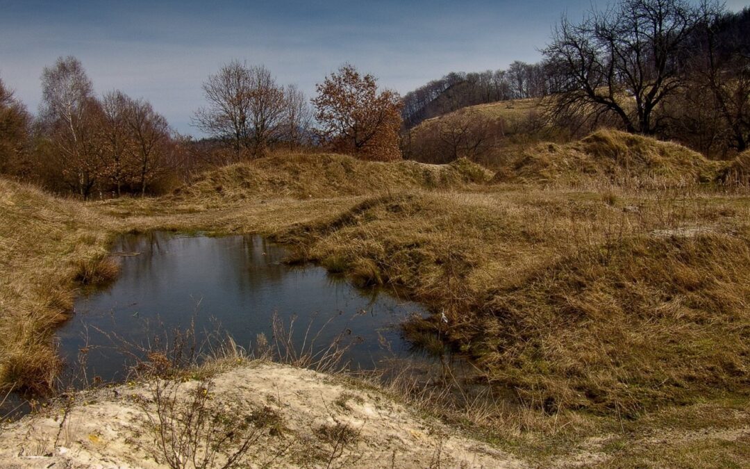 Pardubický Červeňák bude zachován a oživen