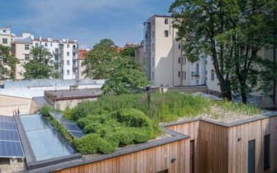Brno dotacemi podpoří zelené střechy v hodnotě 50 milionů korun