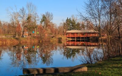Jezero Čičák v Pardubicích se bude kvůli obojživelníkům odbahňovat na etapy