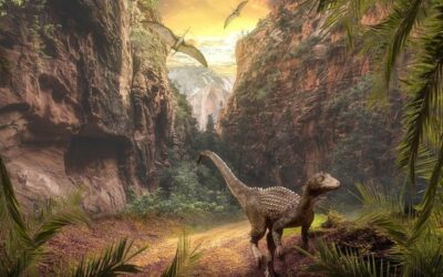 Vědci popsali unikátního brouka uloženého v maďarském jantaru z doby dinosaurů