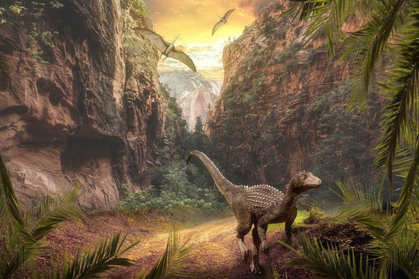 Vědci popsali unikátního brouka uloženého v maďarském jantaru z doby dinosaurů