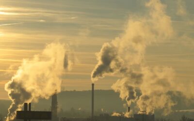 Lidé mohou od dneška nominovat do ankety projekty adaptace na změnu klimatu
