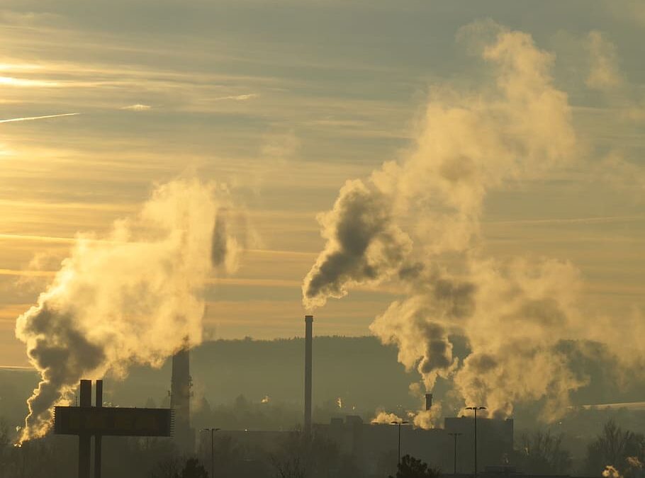 Lidé mohou od dneška nominovat do ankety projekty adaptace na změnu klimatu