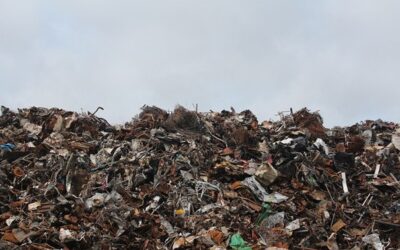 Ve Vysokém Mýtě se vloni snížilo množství odpadů vyvážených na skládku
