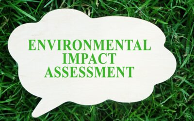 Proti obnovení spalovny v Rybitví u Pardubic vznikla další petice
