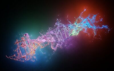 Výbor podpořil úpravu zákona o geneticky modifikovaných organismech