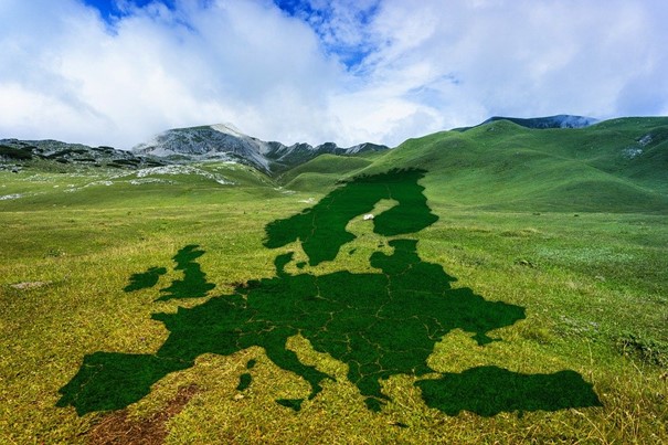 Hubáčková: Česko se z cílů Zelené dohody nechystá ustoupit