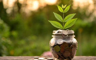 Státní garance za ekologické škody loni klesly o 154 milionů na 137 miliard Kč