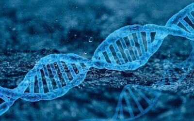 Oznámení o geneticky modifikovaných organismech se standardizují