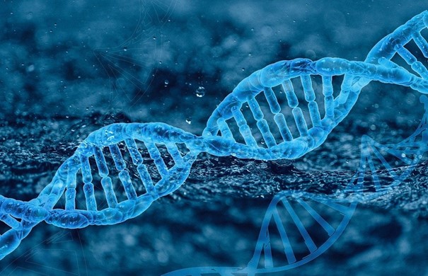 Oznámení o geneticky modifikovaných organismech se standardizují