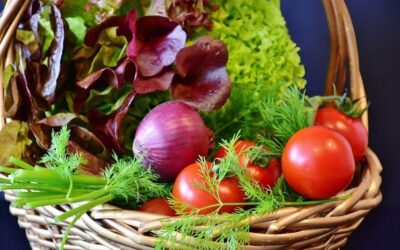Návrh na prodloužení platnosti certifikátů biopotravin je před schvalováním