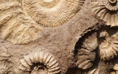 Geopark Český ráj má nově audio průvodce pro výlety, láká i do méně známých míst