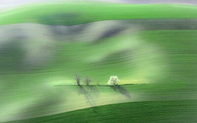 Snímek z jižní Moravy českého fotografa France vyhrál kategorii na Earth Photo
