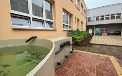 Gymnázium Mikuláše Koperníka v Bílovci má vlastní výukovou aquaponickou farmu