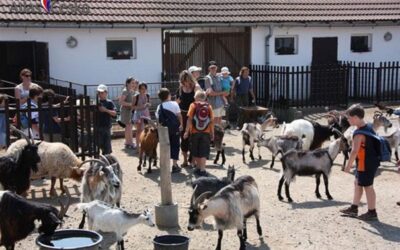 Zoopark Vyškov zmodernizuje expozici vodní drůbeže, přibudou vodní plochy
