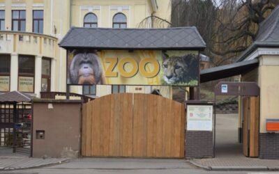 Ústeckou zoo navštívila komise z EAZA, rozhodnutí o případném členství v září