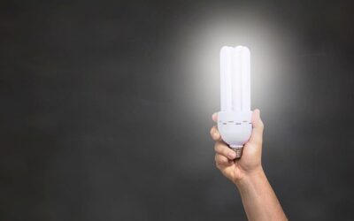 Průzkum: Zářivky a žárovky by ekologicky vyhodila jen polovina lidí z Česka