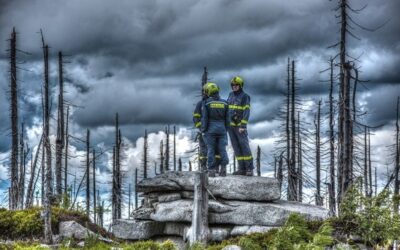 V Českém Švýcarsku hlídají požářiště strážci ze všech národních parků i z Polska
