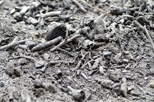 Vědci z ústecké univerzity zkoumají spáleniště v národním parku České Švýcarsko