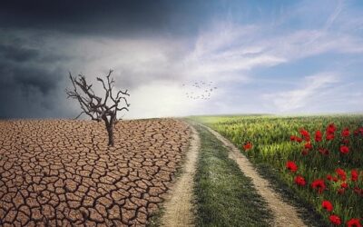 Mariánské Lázně by se mohly v příštím roce stát klimatickými lázněmi