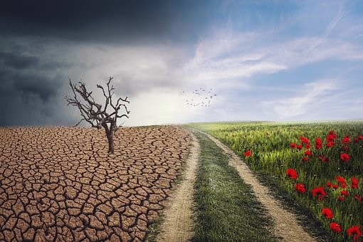 Mariánské Lázně by se mohly v příštím roce stát klimatickými lázněmi