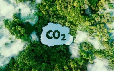 Jak chránit klima, ušetřit a být šťastnější, kampaň Act for Planet