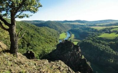 Starostové vyzývají představitele státu k zásahu do vyhlašování NP Křivoklátsko