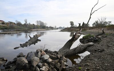 Mezi Vraňany a Hořínem skončila obnova Vltavy, má prospět rozmanitosti přírody