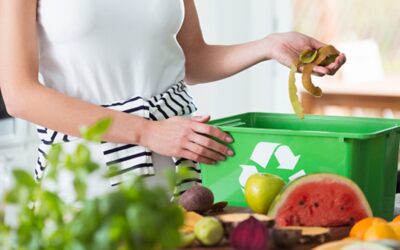 V Brandýse n.L. spustí v listopadu zkušebně sběr kuchyňského odpadu z domácností