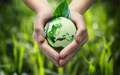 BULLETIN: Environmentální dění a EVVO v ÚK